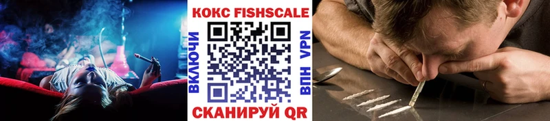 KRAKEN зеркало  Заводоуковск  Cocaine FishScale 