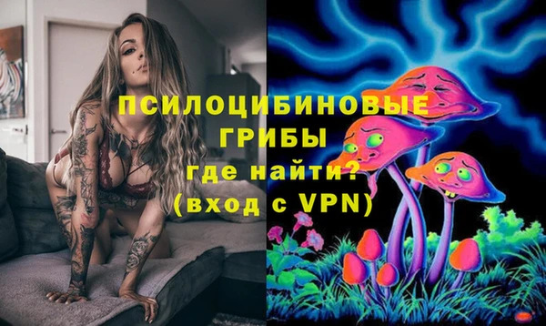 трава Новозыбков