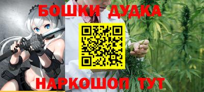 индика Беслан