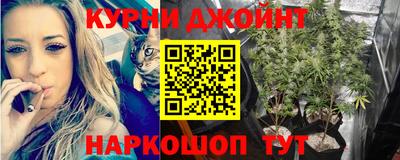 индика Беслан