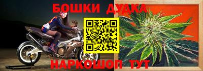 ГАЛЛЮЦИНОГЕННЫЕ ГРИБЫ Гусев