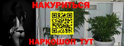 индика Беслан