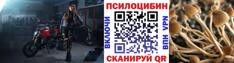 Псилоцибиновые грибы ЛСД  omg зеркало  Заводоуковск 