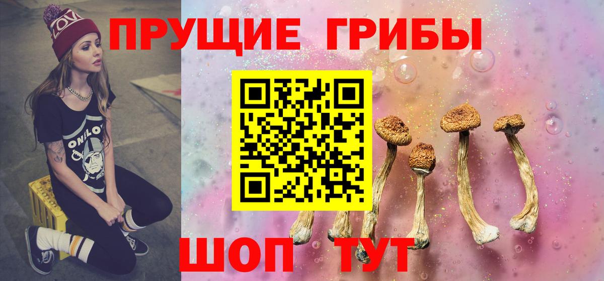 Псилоцибиновые грибы мицелий Заводоуковск